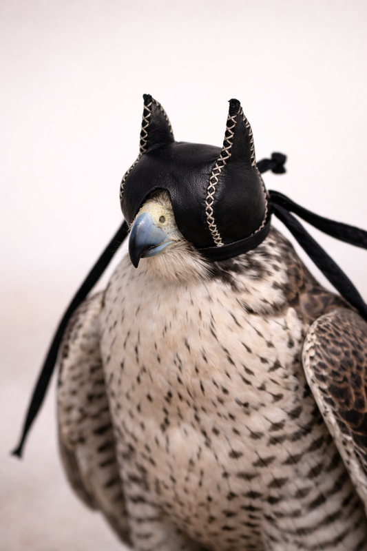 Dutch Hood Bat Style